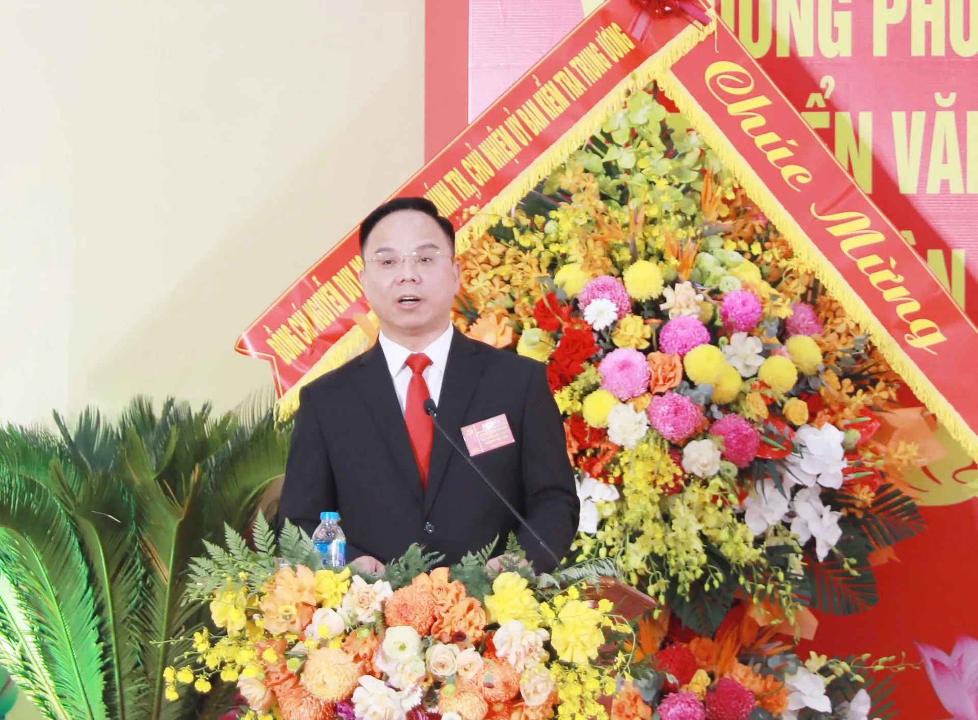 Hình ảnh 3