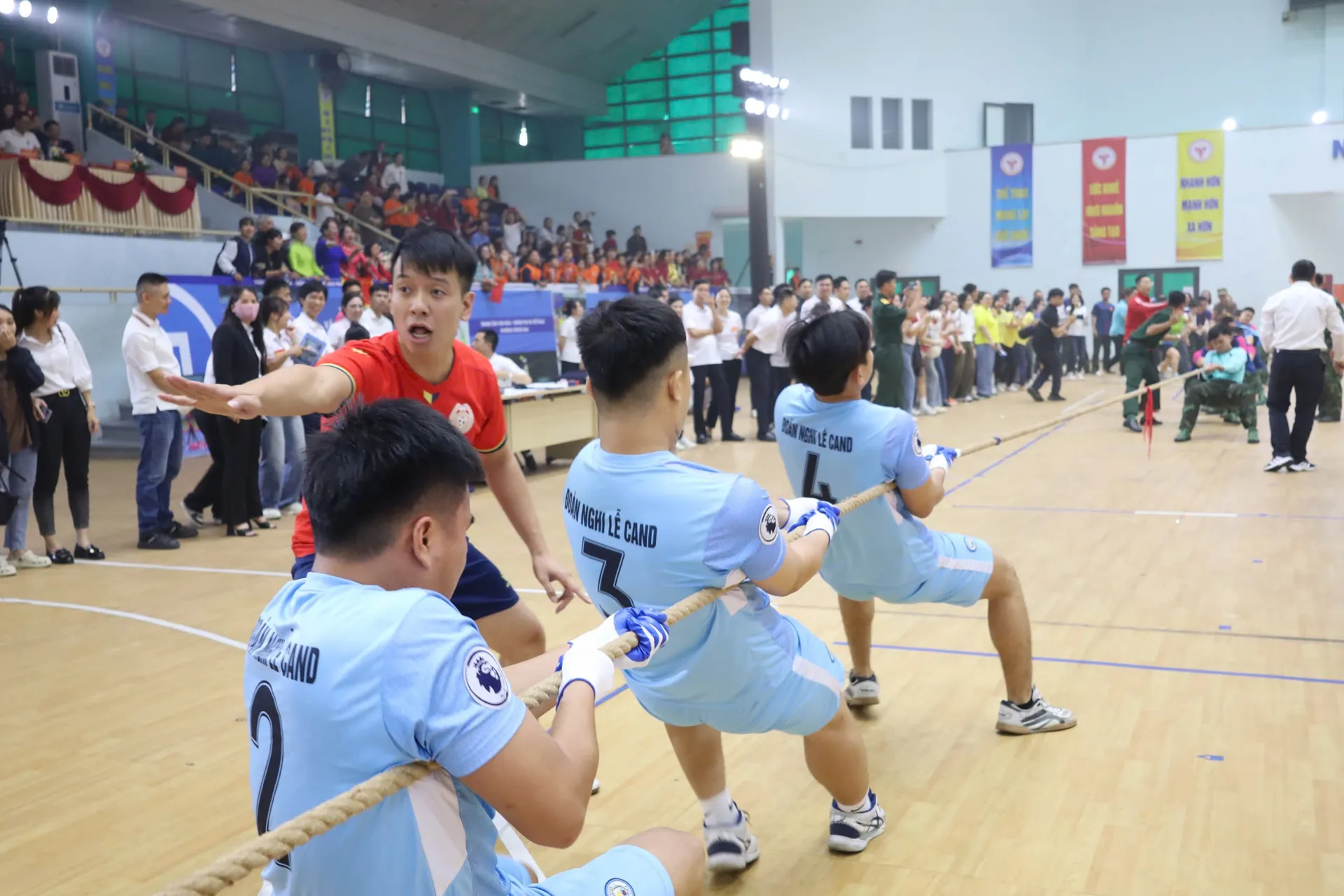 Hình ảnh 2