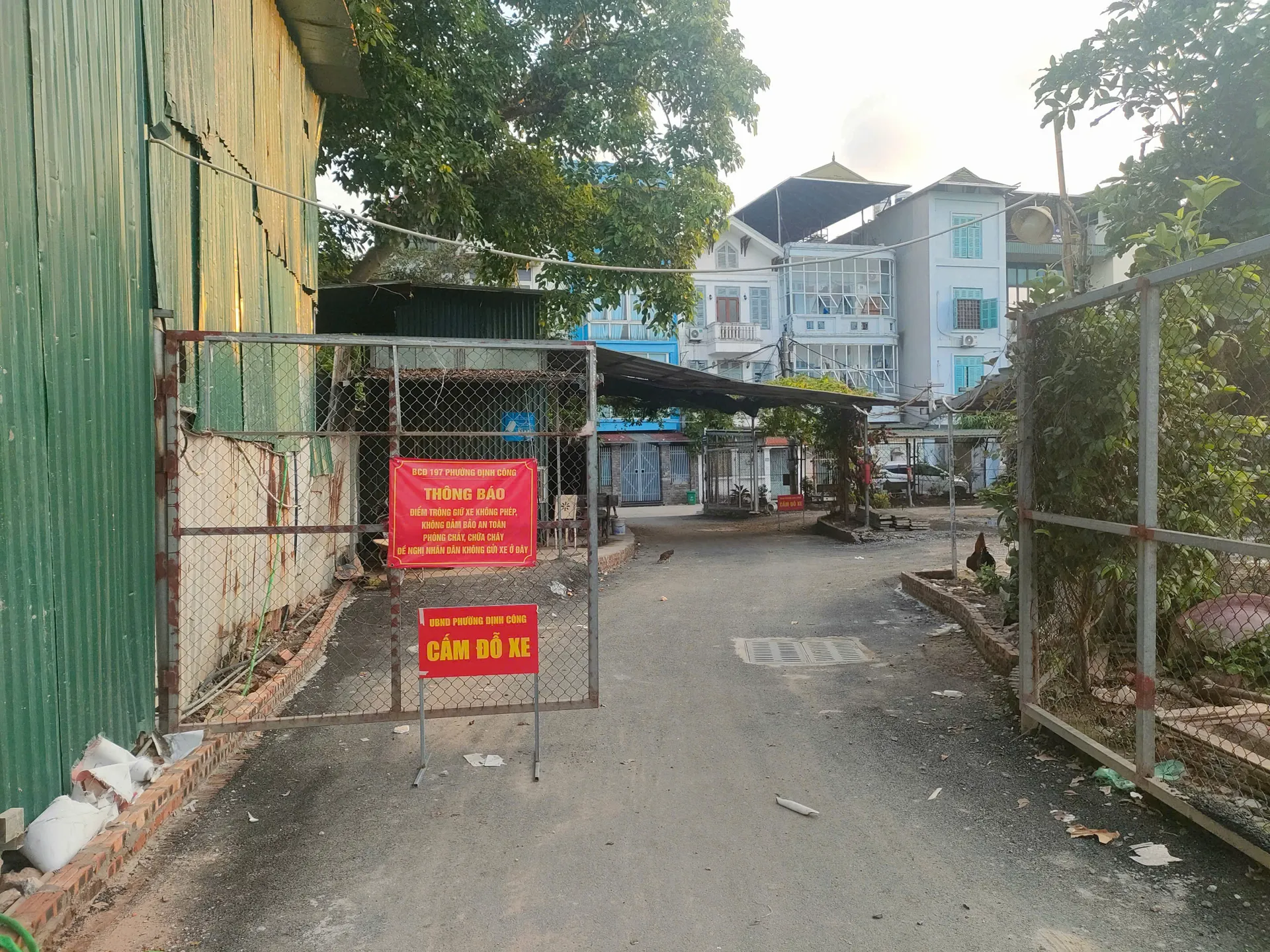 Hình ảnh 3