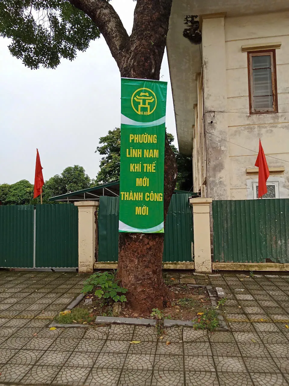 Hình ảnh 1