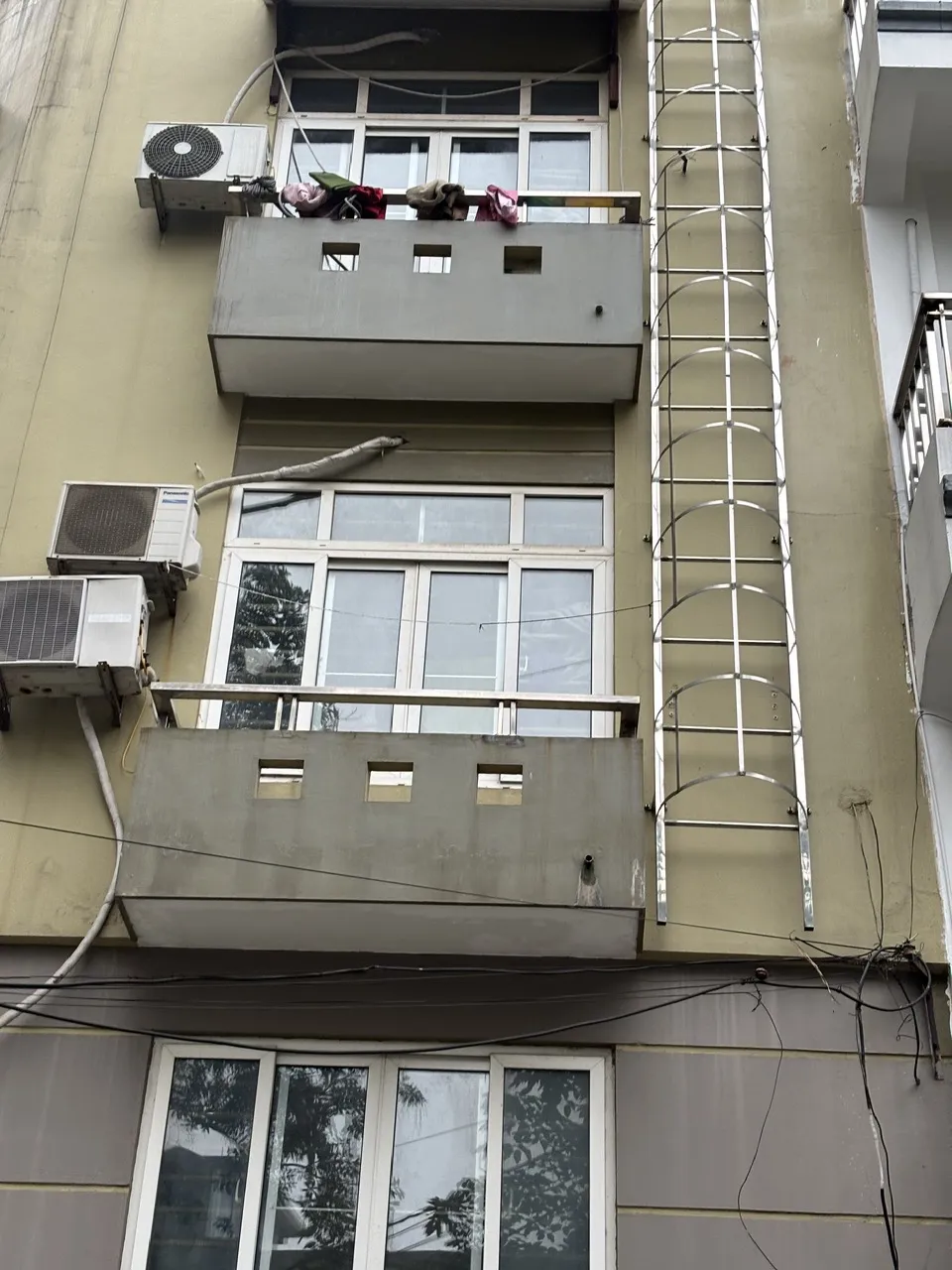 Hình ảnh 2