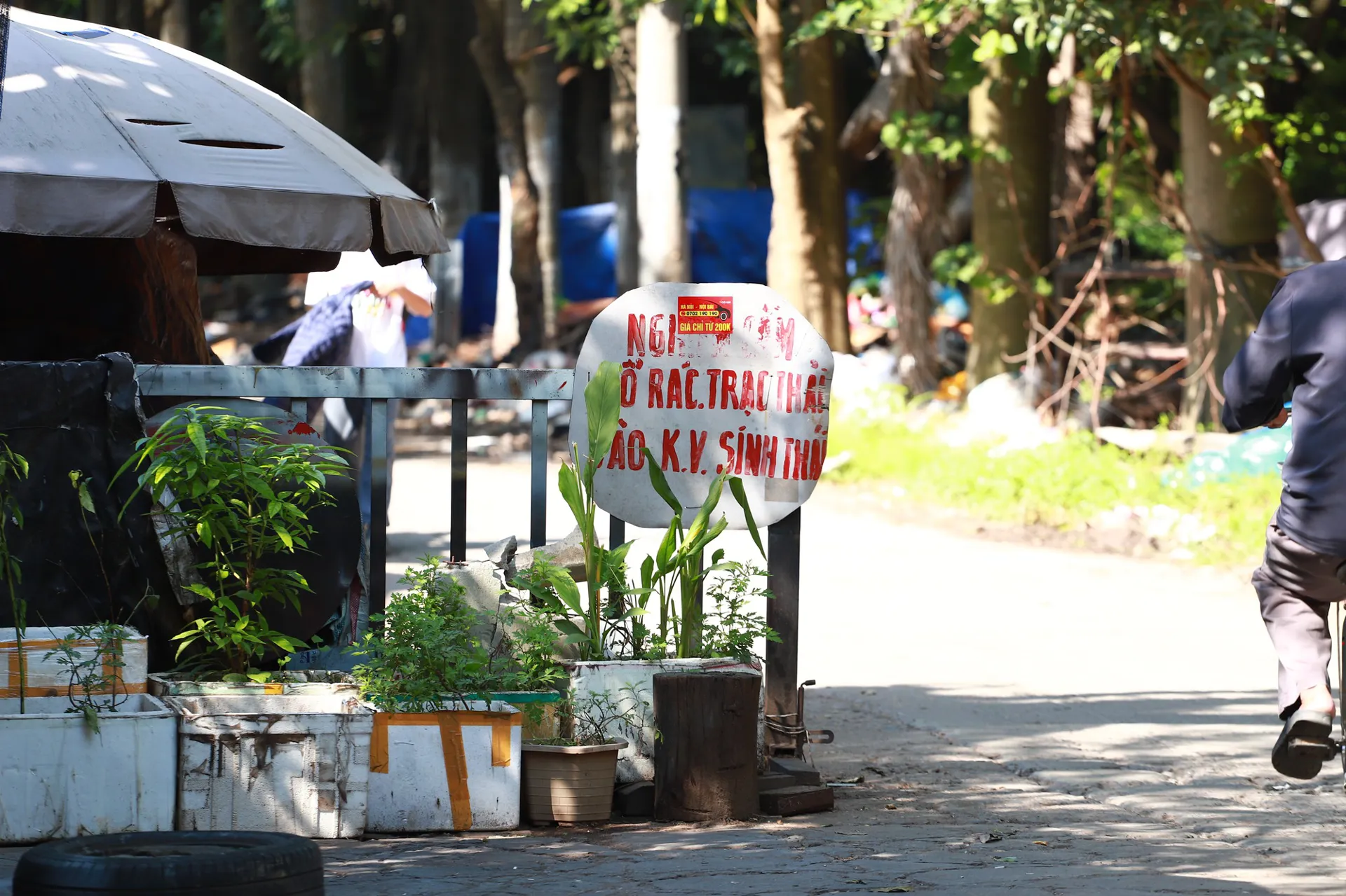 Cần rà soát dự án Khu công viên sinh thái Vĩnh Hưng bị “lãng quên” 8 năm nay