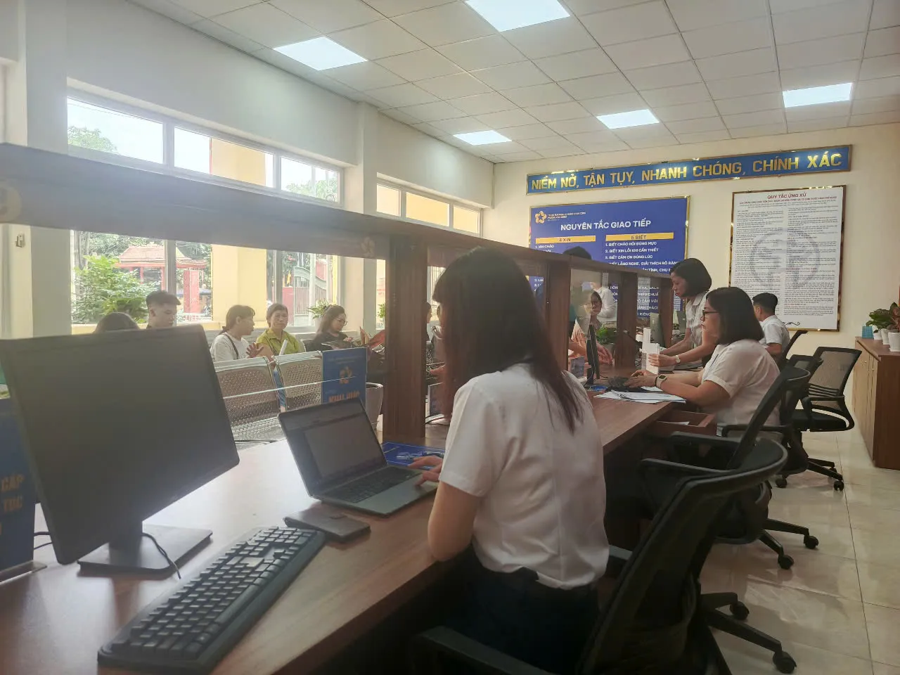 Hình ảnh 2