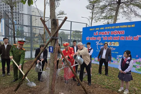 Đầu xuân Bính Ngọ, phường Đại Mỗ phát động phong trào trồng cây xanh